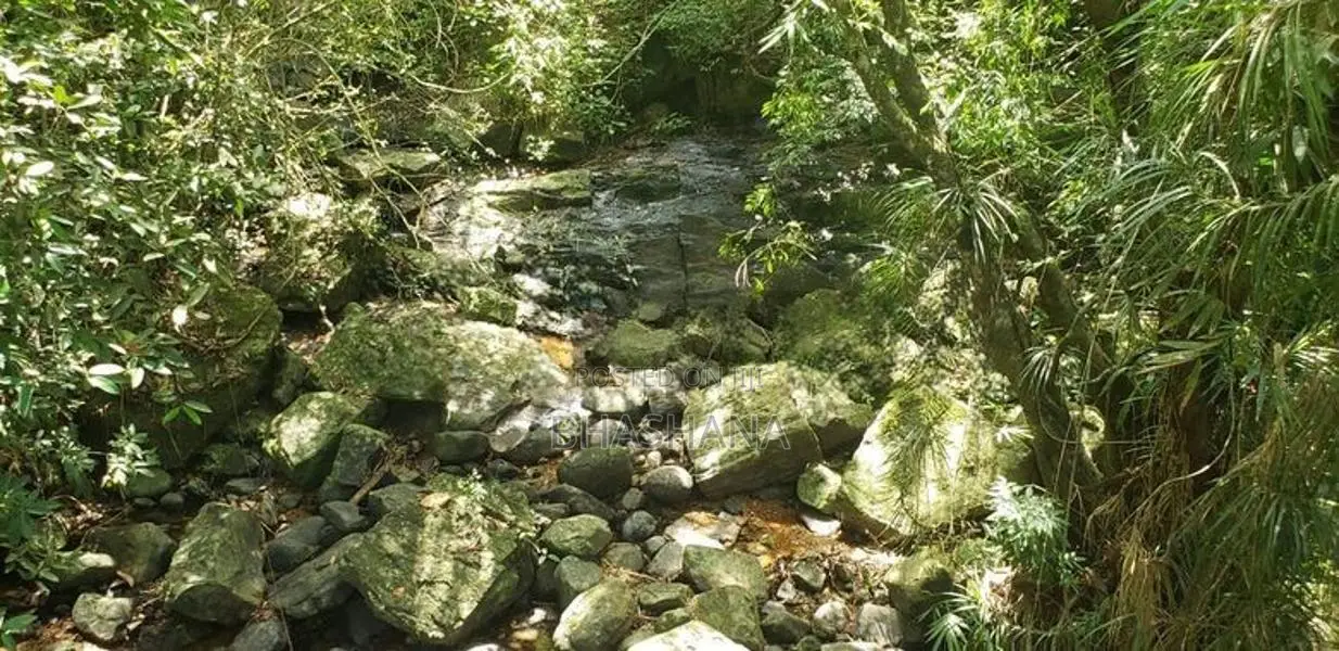 148 Perches Peaceful Land For Sale In Bope, Padukka, Wewila