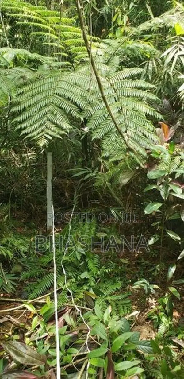 148 Perches Peaceful Land For Sale In Bope, Padukka, Wewila