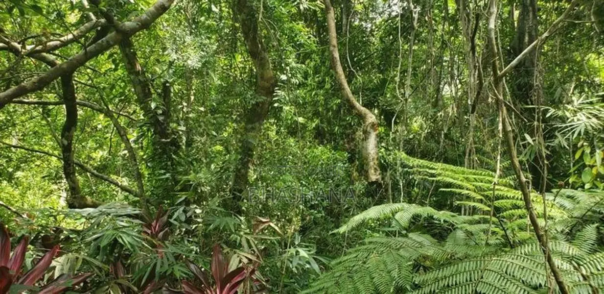 148 Perches Peaceful Land For Sale In Bope, Padukka, Wewila