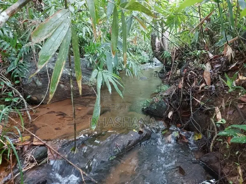 148 Perches Peaceful Land For Sale In Bope, Padukka, Wewila