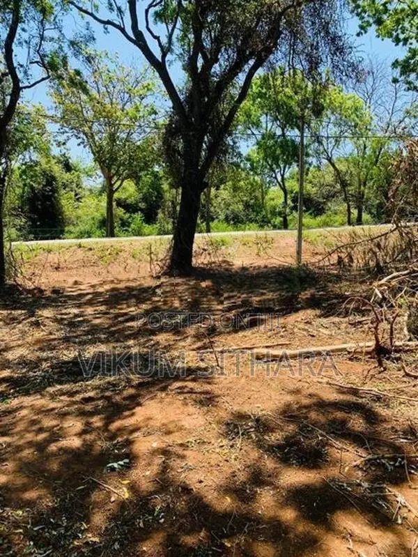 Land for Sale in තණමල්විල