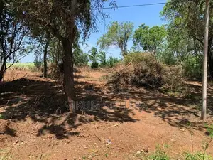 Land for Sale in තණමල්විල