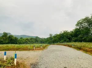 Valuable Lands Sale in Eheliyagoda