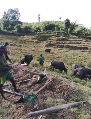 Land for Sale in Badulla Kandegedara