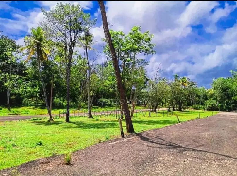 Galle - Koggala සුද්දර වැවකට සමීපයෙන්ම සංචාරක බිම්කොටස්