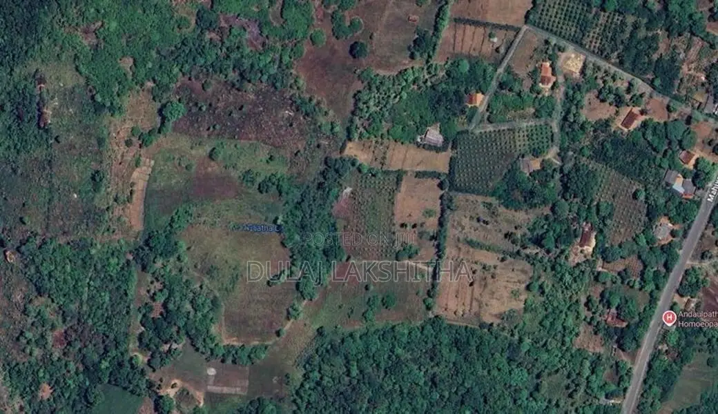 වගාවටත් පදිංචියටත් සුදුසු අගනා ඉඩමක් විකිණීමට
