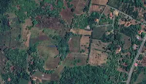 වගාවටත් පදිංචියටත් සුදුසු අගනා ඉඩමක් විකිණීමට