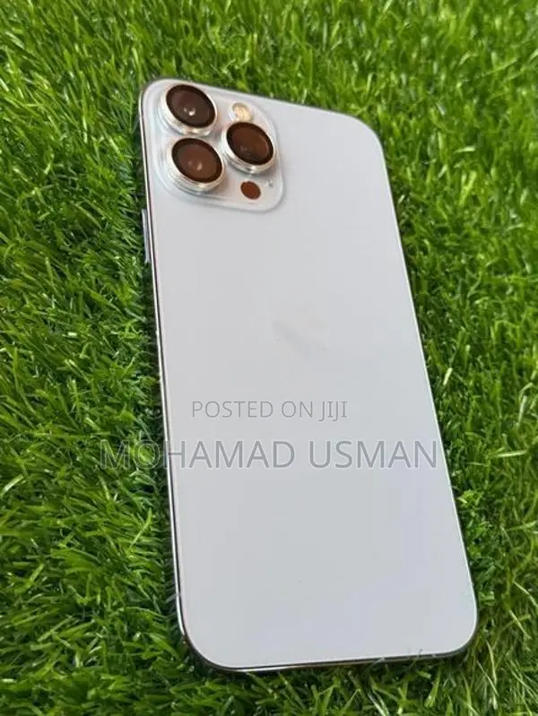 Apple iPhone 13 Pro Max (Used)