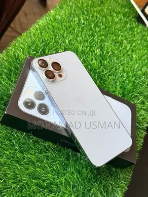 Apple iPhone 13 Pro Max (Used)
