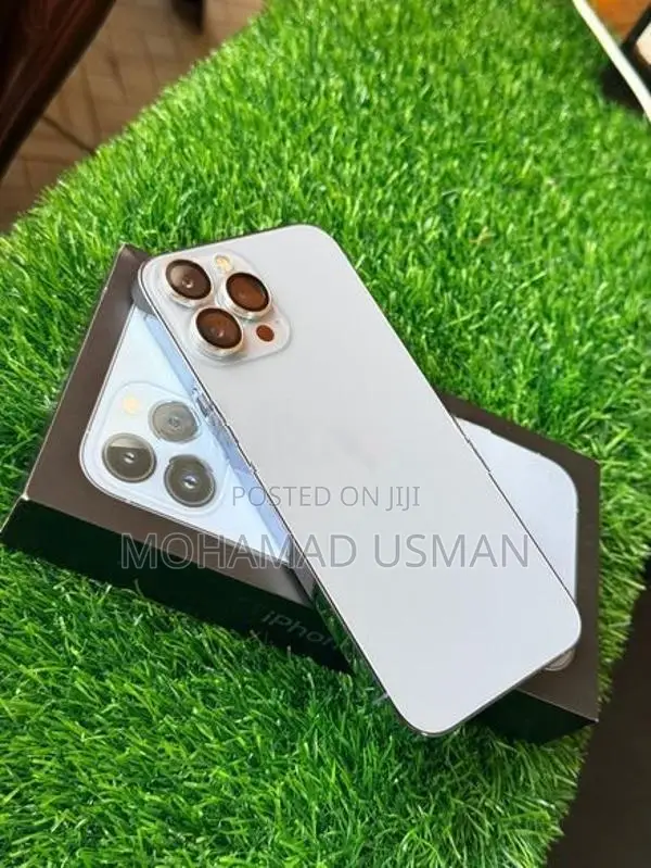 Apple iPhone 13 Pro Max (Used)