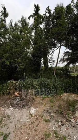 Land For Sale Pitipana Delagahakanda