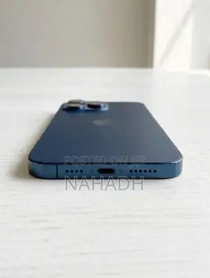 Apple iPhone 12 Pro Max (Used)