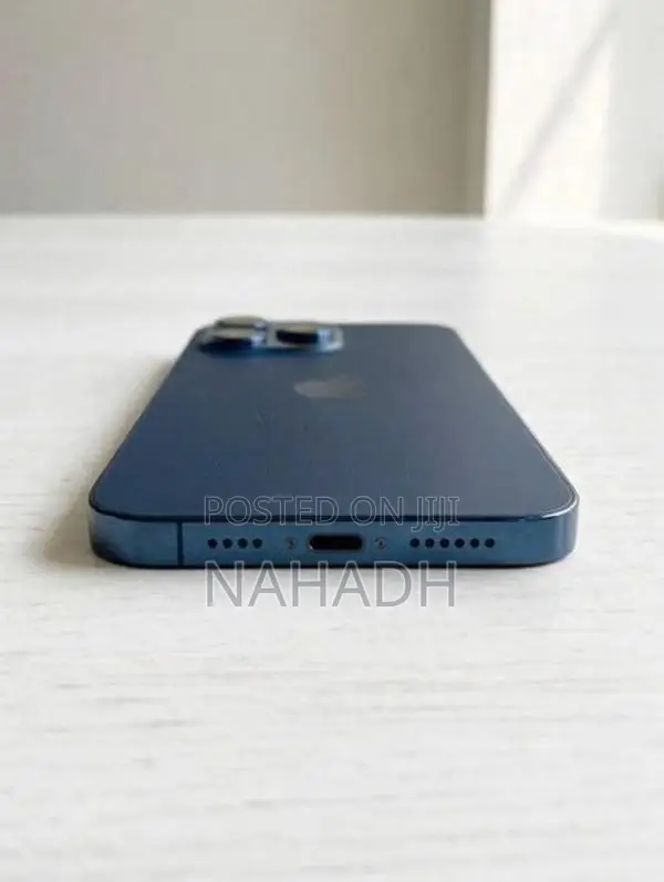 Apple iPhone 12 Pro Max (Used)