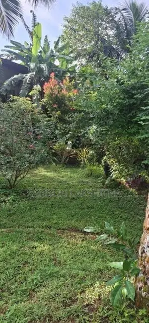 House with Land for Sale in Elpitiya