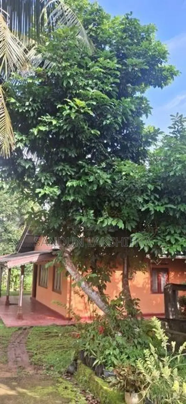 House with Land for Sale in Elpitiya