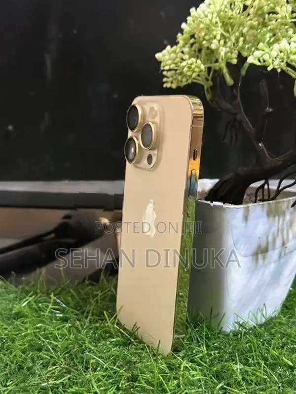 Apple iPhone 14 Pro (Used)