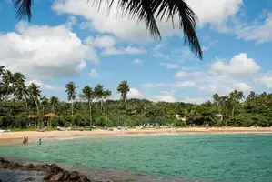 දික්වැල්ල සංචාරක කලාපයේ ඉඩමි