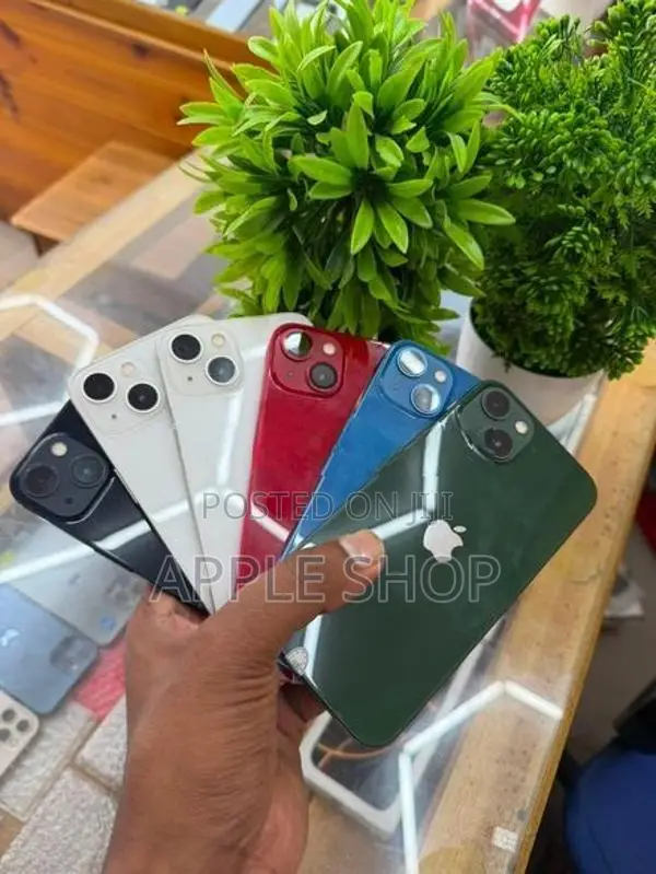 Apple iPhone 13 128GB (Used)