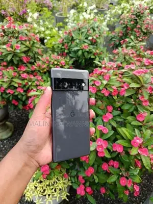 Google Pixel 6 Pro 12GB / 128GB (Used)