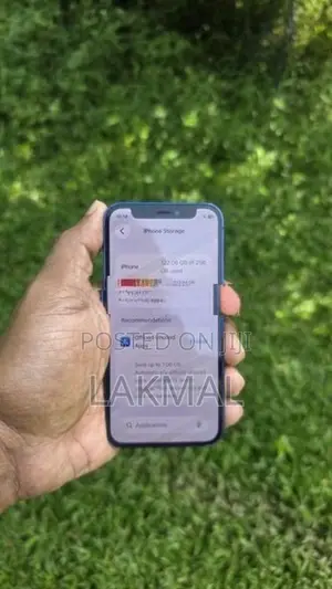 Apple iPhone 12 mini 256GB (Used)