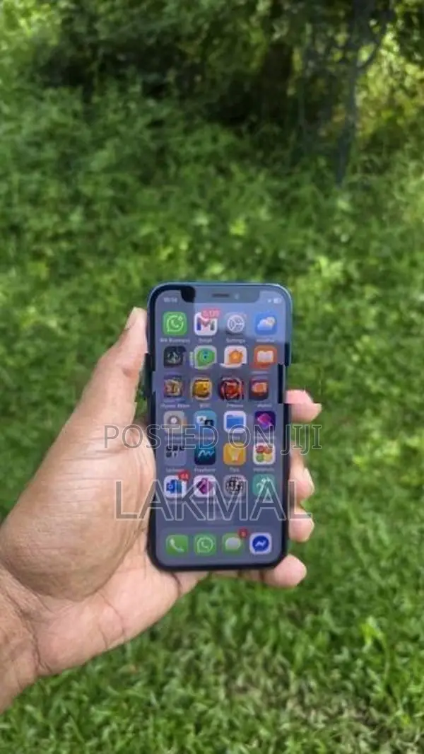 Apple iPhone 12 mini 256GB (Used)
