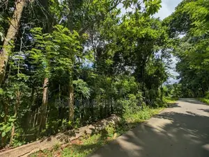 අලදෙණිය – නේවාසික ඉඩම් විකිණීමට
