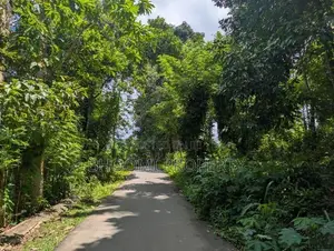 අලදෙණිය – නේවාසික ඉඩම් විකිණීමට