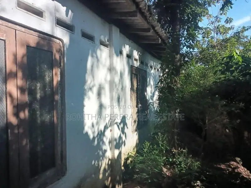 28 Perch - 2 Blocks Land for Sale at Wattegedara