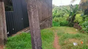 100 Perch Land for Sale in Meegoda