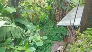 100 Perch Land for Sale in Meegoda