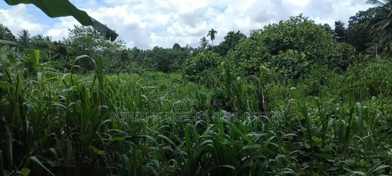 100 Perch Land for Sale in Meegoda