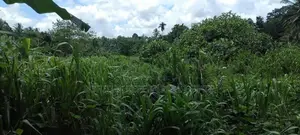 100 Perch Land for Sale in Meegoda