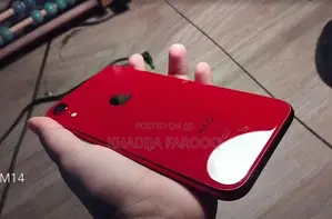 Apple iPhone XR (Used)