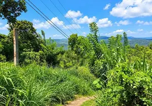 54 Perches Land For Sale In Nikapotha - Beragala (Sspl-535) Haputale