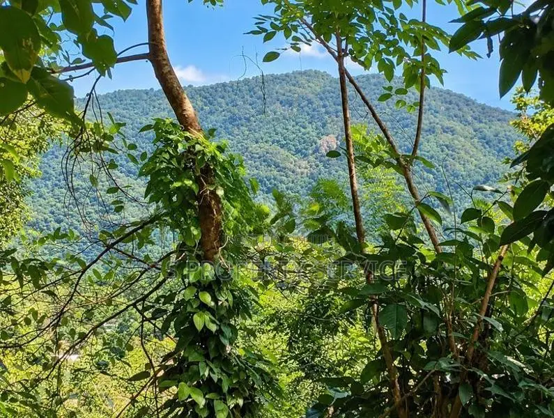 54 Perches Land For Sale In Nikapotha - Beragala (Sspl-535) Haputale