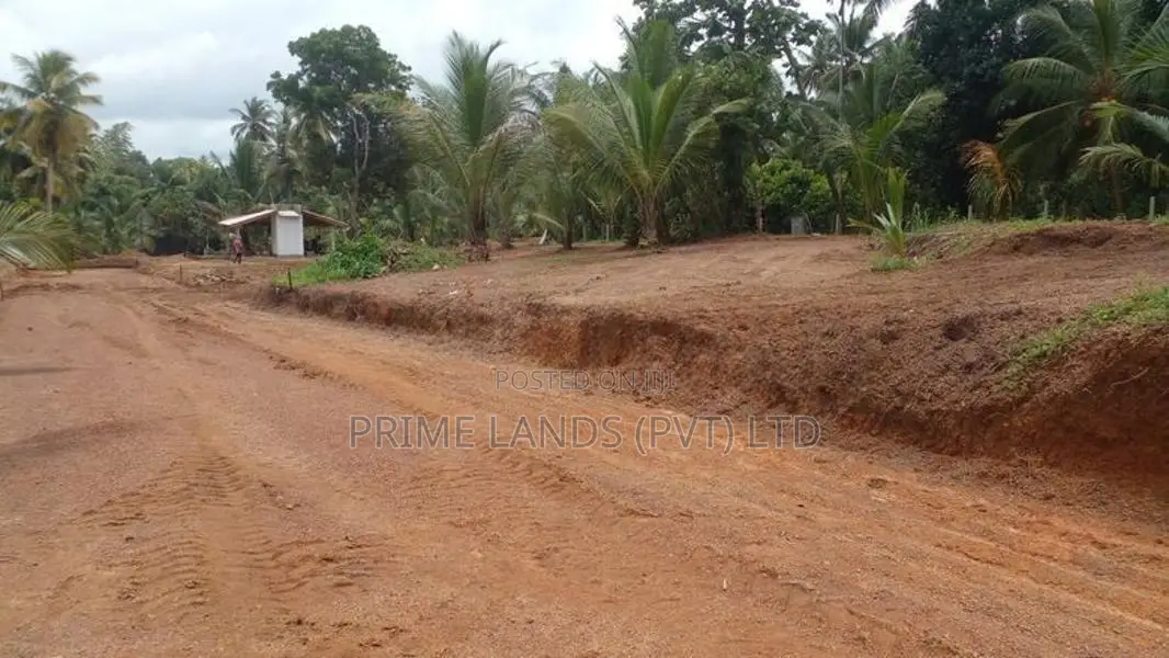 Prime Land Plots Near Hikkaduwa Town & Baddegama Highway Interchange