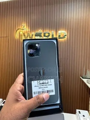 Apple iPhone 12 Pro Max (Used)