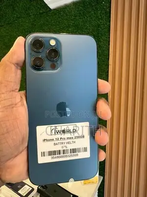 Apple iPhone 12 Pro Max (Used)