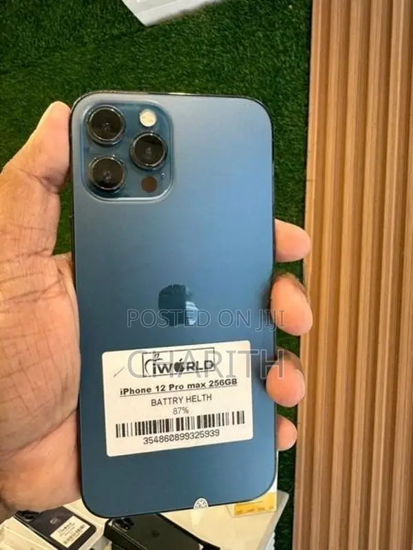 Apple iPhone 12 Pro Max (Used)