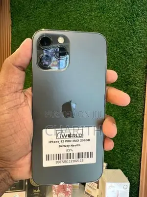 Apple iPhone 12 Pro Max 256GB (Used)