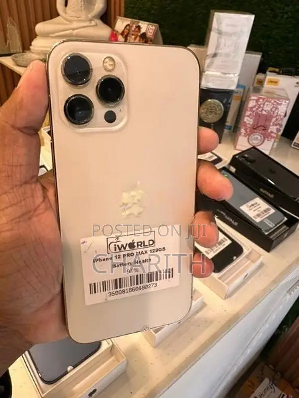 Apple iPhone 12 Pro Max 256GB (Used)