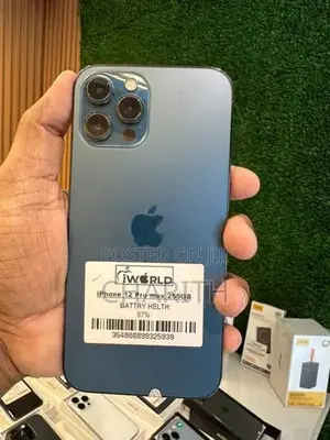 Apple iPhone 12 Pro Max 256GB (Used)
