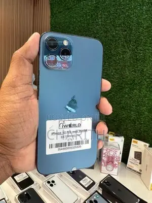 Apple iPhone 12 Pro Max 256GB (Used)