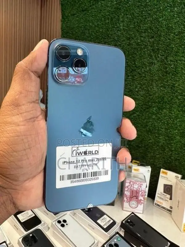 Apple iPhone 12 Pro Max 256GB (Used)