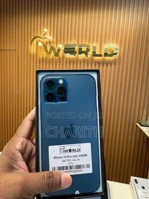 Apple iPhone 12 Pro Max 256GB (Used)