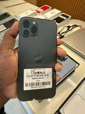 Apple iPhone 12 Pro Max 256GB (Used)