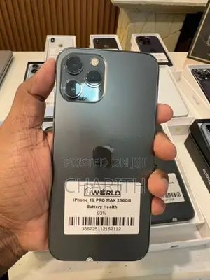 Apple iPhone 12 Pro Max 256GB (Used)