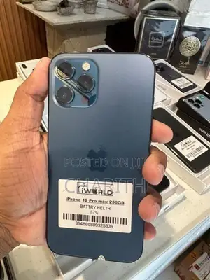 Apple iPhone 12 Pro Max 256GB (Used)