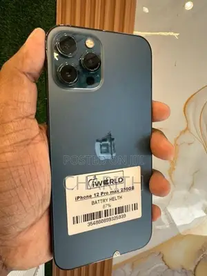 Apple iPhone 12 Pro Max (Used)