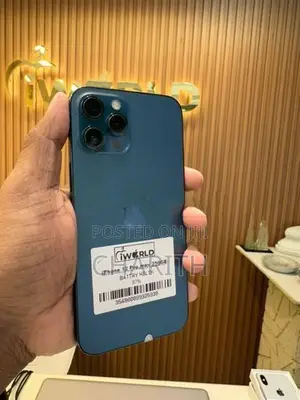 Apple iPhone 12 Pro Max (Used)